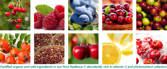 Yummy Ingrediants in Pure Synergy